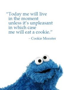 cookie monster new book